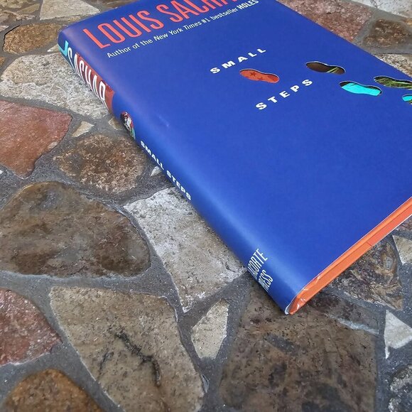 Small Steps By Louis Sachar Hardcover 2006 Delacorte Press - Picture 6 of 9